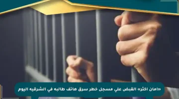 «أمان أكثر» القبض على مسجل خطر سرق هاتف طالبة في الشرقية اليوم